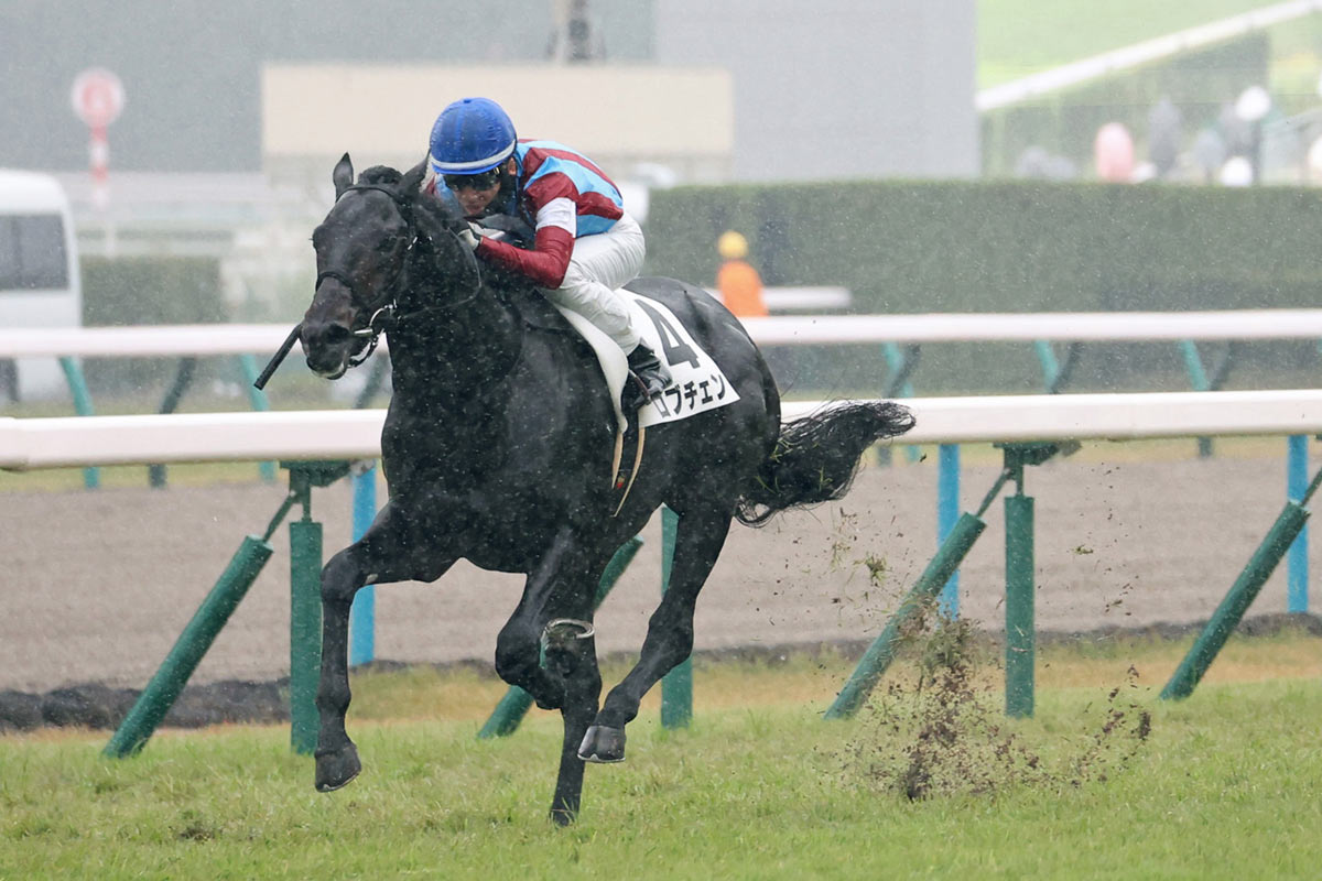 ロブチェンが3馬身差逃げ切り 新種牡馬ワールドプレミア産駒はJRA初