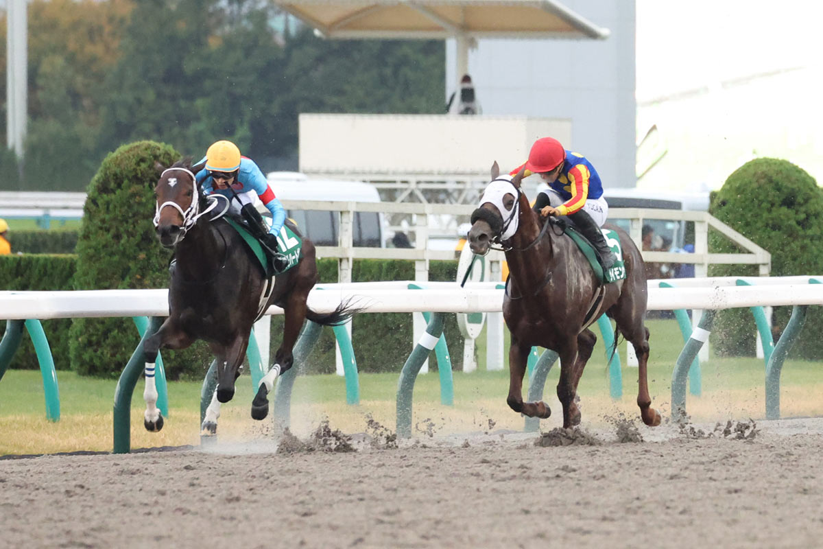 みやこステークス結果＆コメント】坂井瑠星が今週はダブルハートボンド