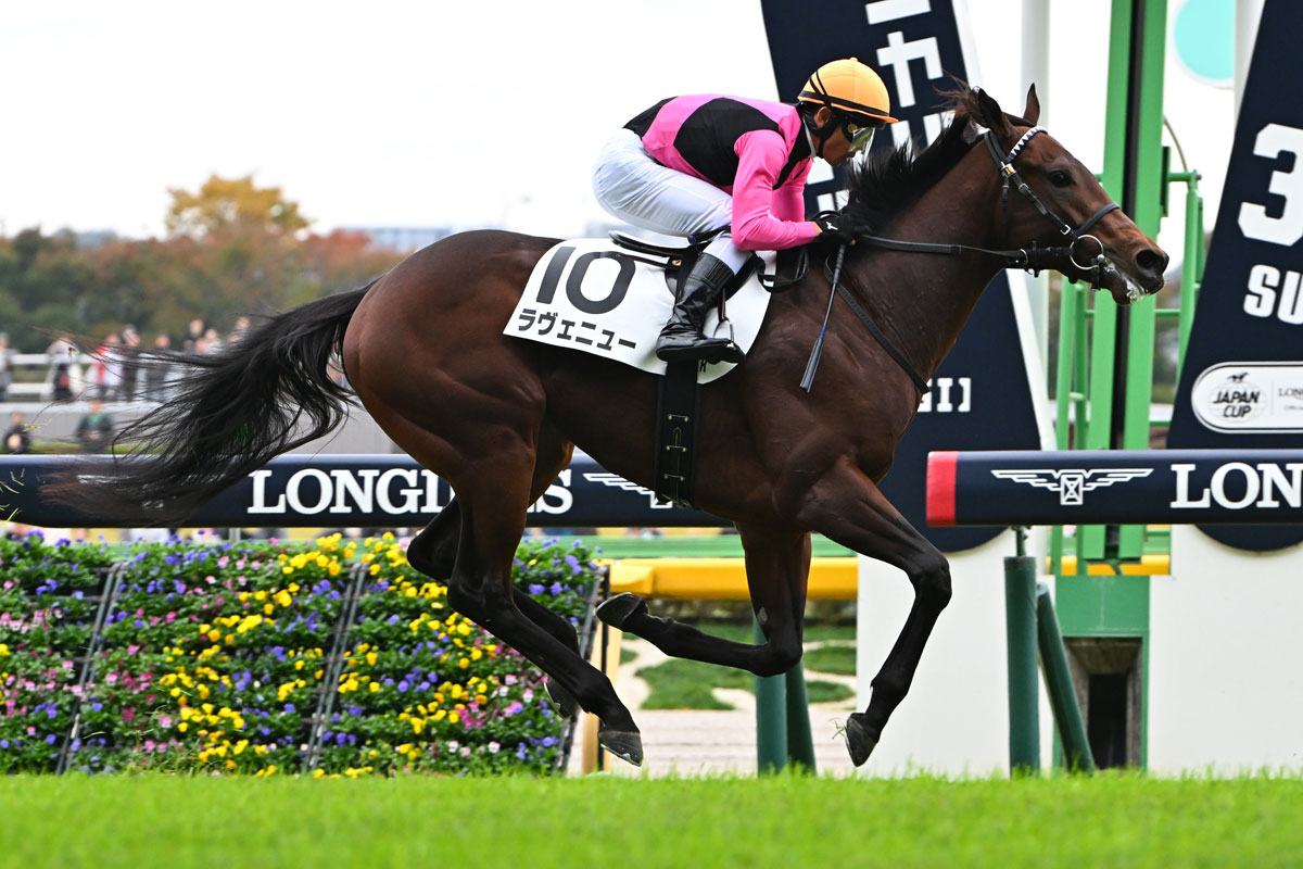 新馬戦快勝のロードカナロア産駒ラヴェニューは放牧へ 友道康夫調教師