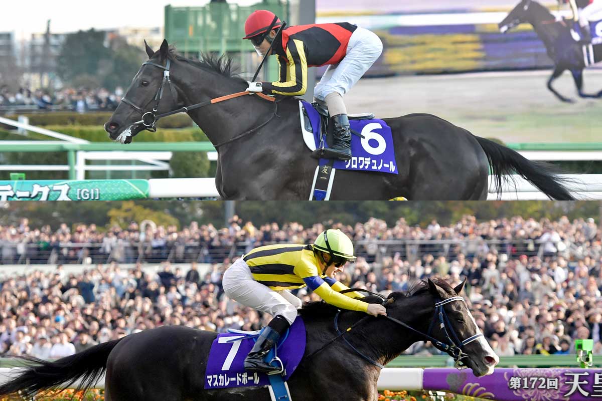 ジャパンC・登録馬】クロワデュノールVSマスカレードボールの3歳2強