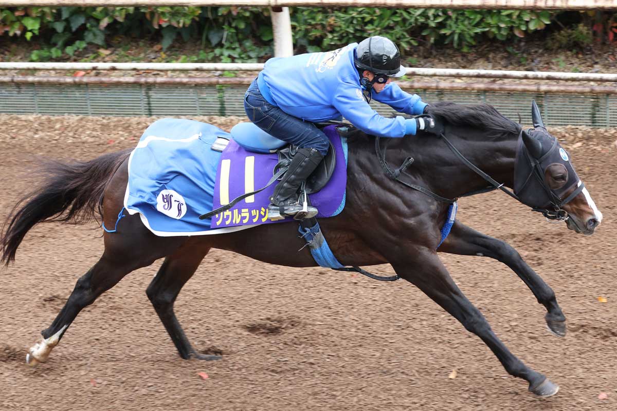 マイルCS追い切り】ソウルラッシュ連覇へ力強く登坂！ 池江調教師