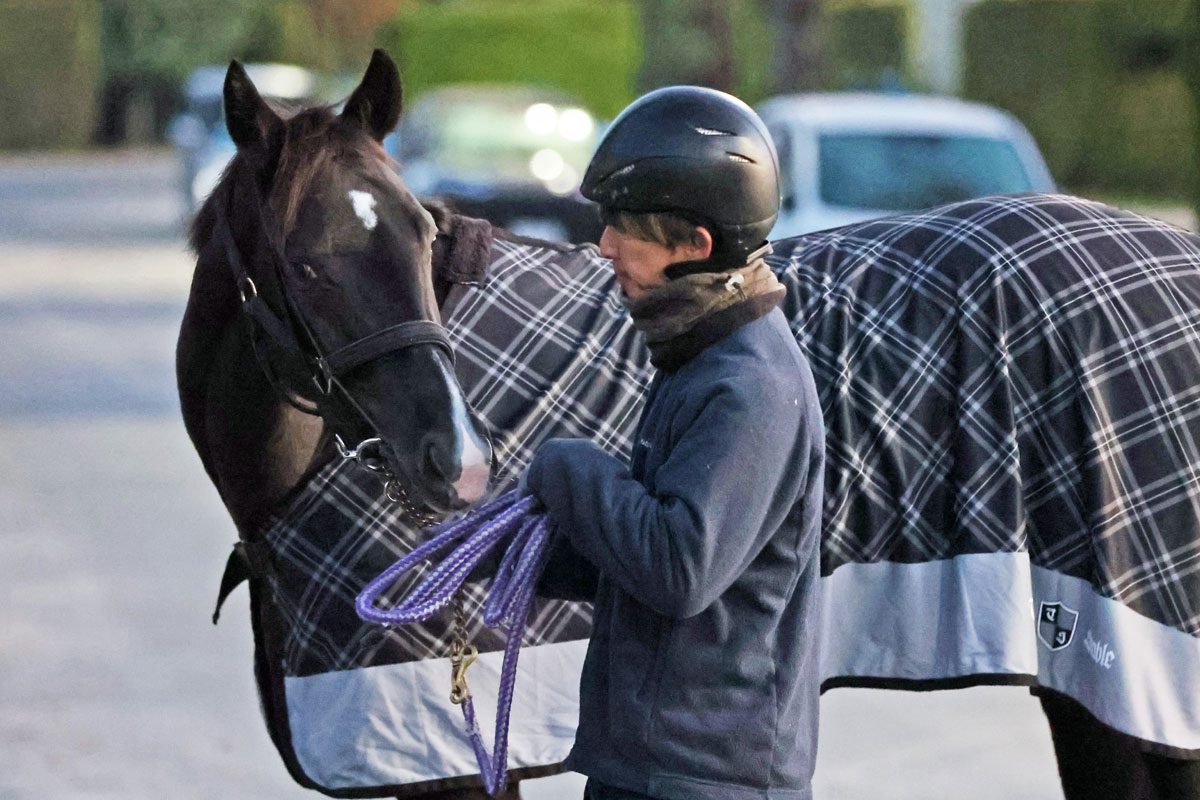 今週の注目新馬】祖母はエアグルーヴ！ エピファネイア産駒ゲフィオン