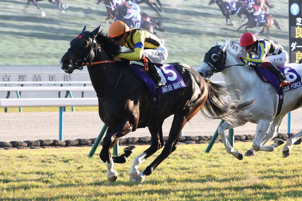 マイルCS・レース回顧】ジャンタルマンタルはタイキシャトル級の強さ