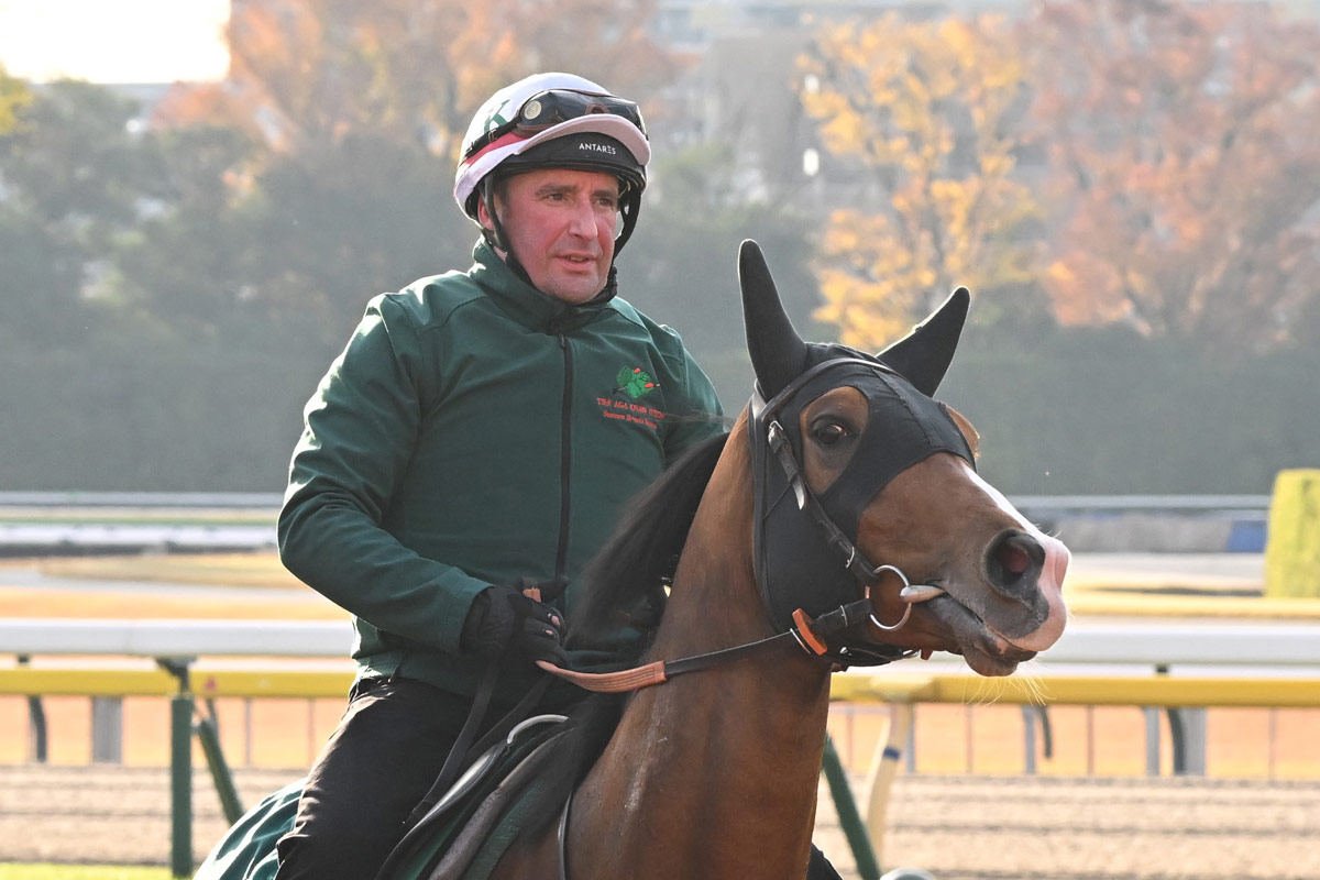 ジャパンC・生情報】〝世界最強馬〟カランダガンは好仕上がり