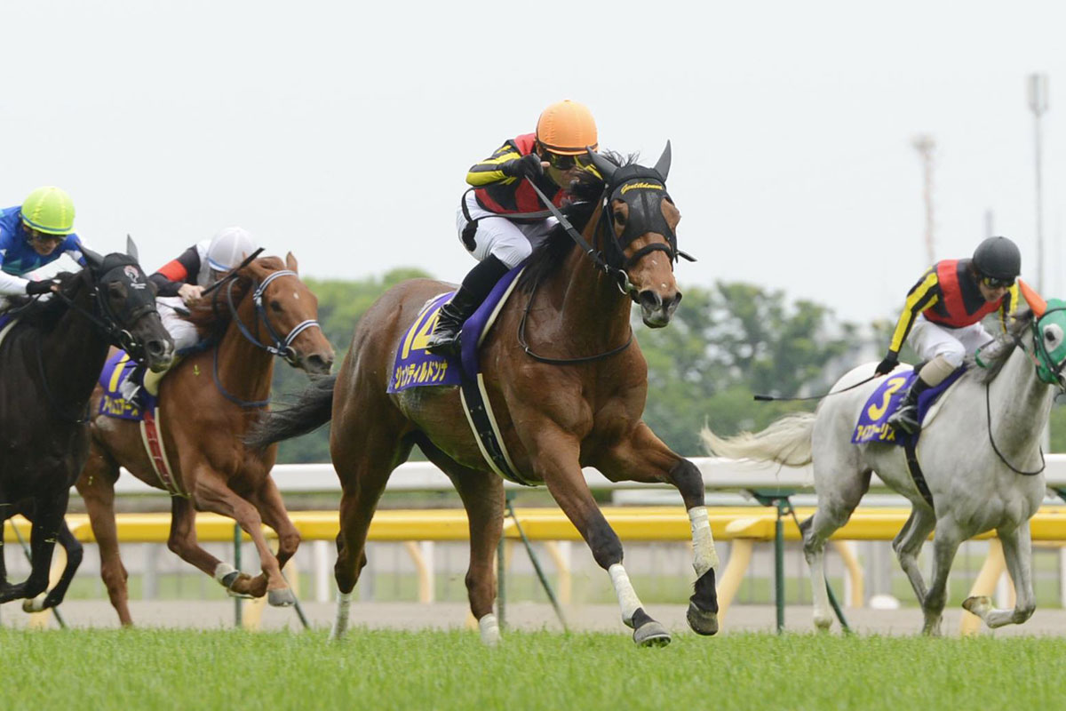 担当者がつける名馬の通信簿・ジェンティルドンナ④】3冠で最も自信が