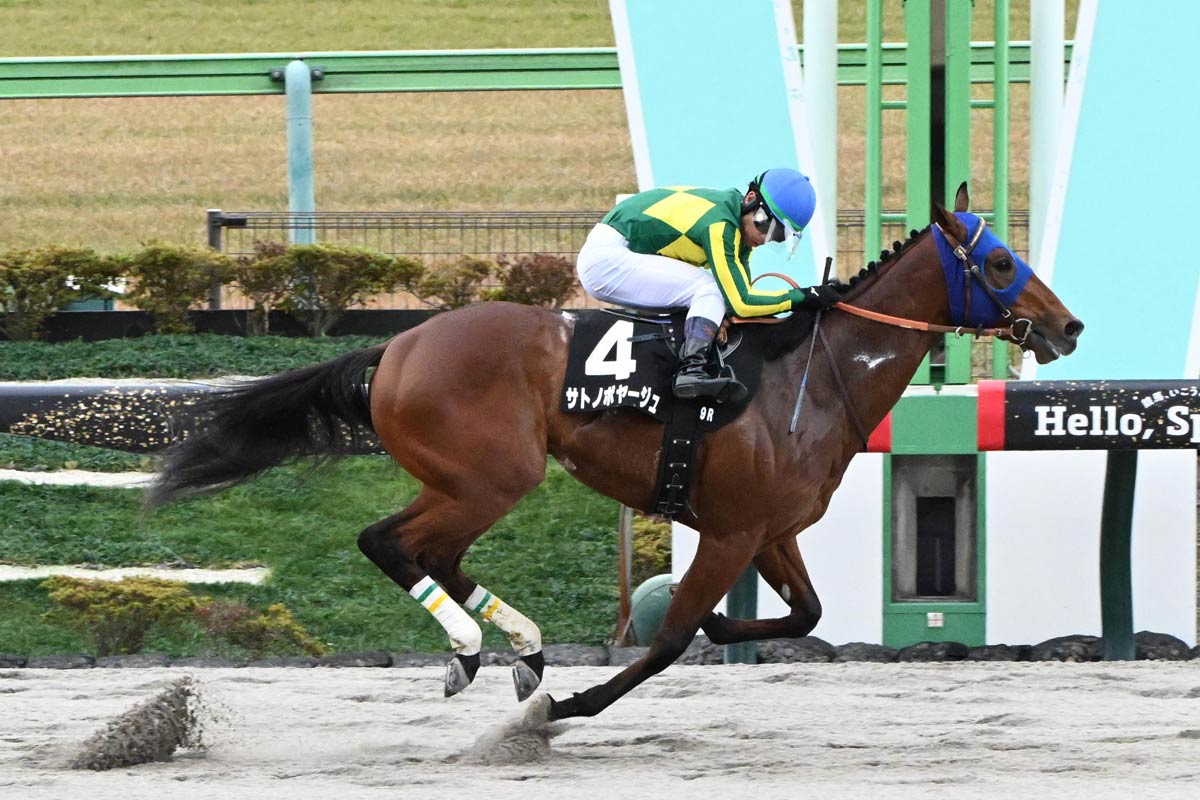 カトレアS】サトノボヤージュが断然人気に応えて3連勝！ 来年のサウジ