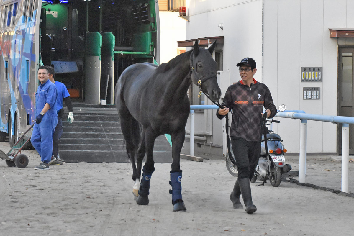 ジャパンC・生情報】クロワデュノールは順調に東京入り「やれること