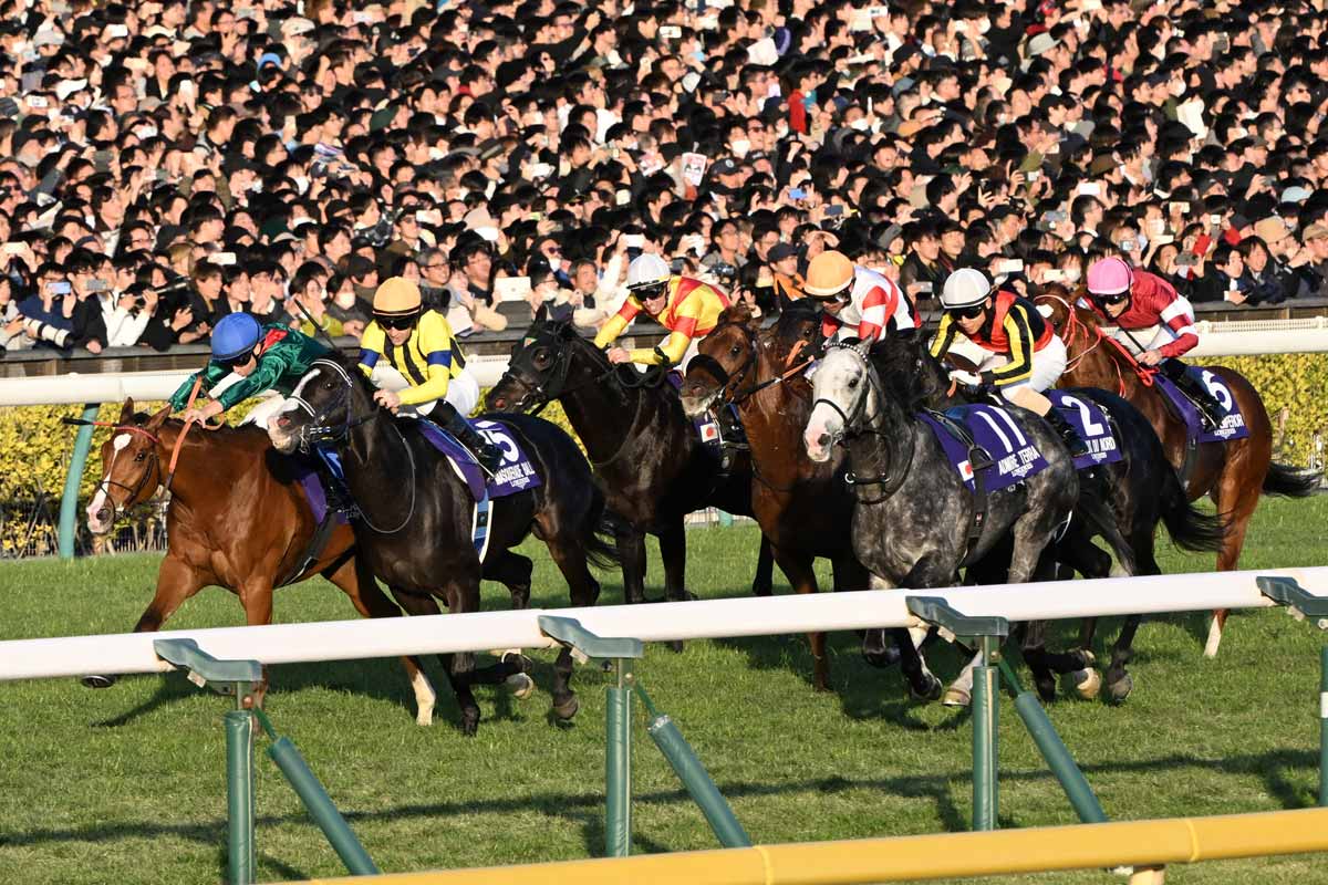 ジャパンC】世界一との叩き合い〝アタマ差〟2着マスカレードボールに