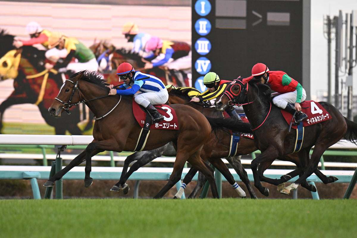 ステイヤーズステークス | 結果・払戻 | 2025年12月6日 中山11R
