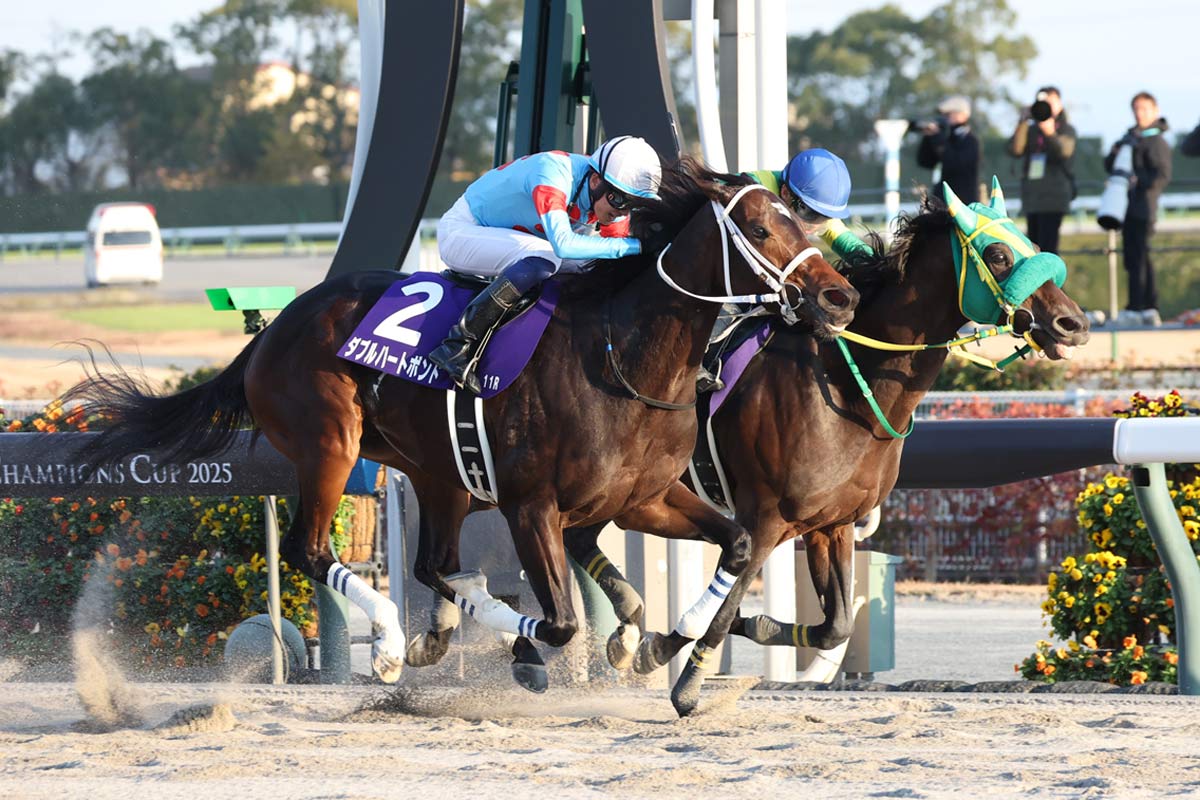 チャンピオンズC】牝馬ダブルハートボンドが大接戦を制す！ 坂井瑠星は