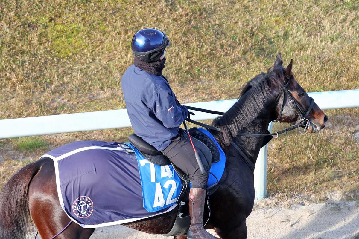 堀内規次作　馬 栗東坂路ラスト23秒台の鬼脚】先週以上に時計を要す馬場でまたも該当馬
