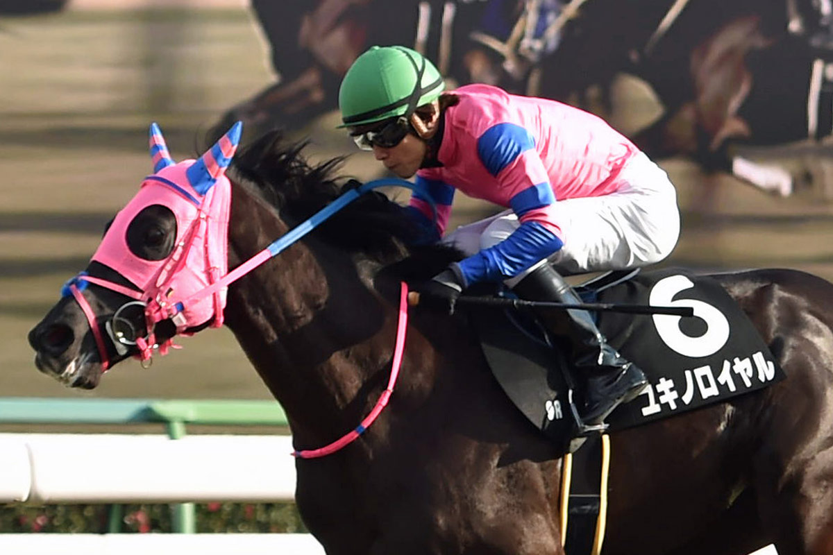 常総S予想 躍動するサドラーズウェルズの血！ 中山での安定感も「買い