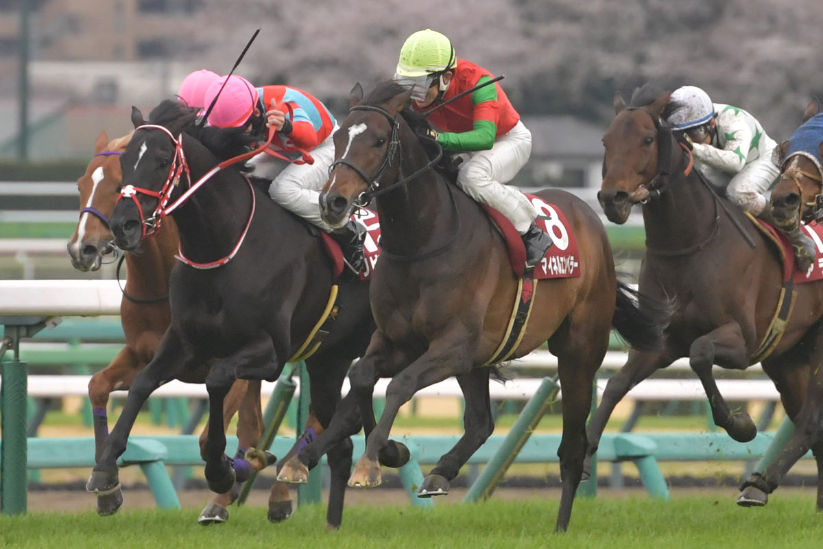 日経賞勝ち馬マイネルエンペラーが有馬記念で復帰へ 父はゴールド