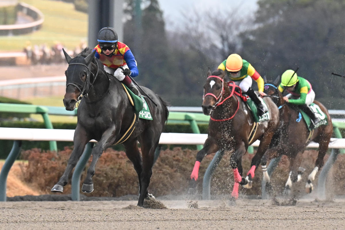 チャーチルダウンズS】坂井瑠星テーオーエルビスが大金星のV！ 横綱