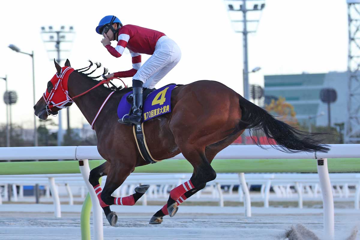 東京大賞典】選定馬発表 ミッキーファイト、ナチュラルライズなど16頭