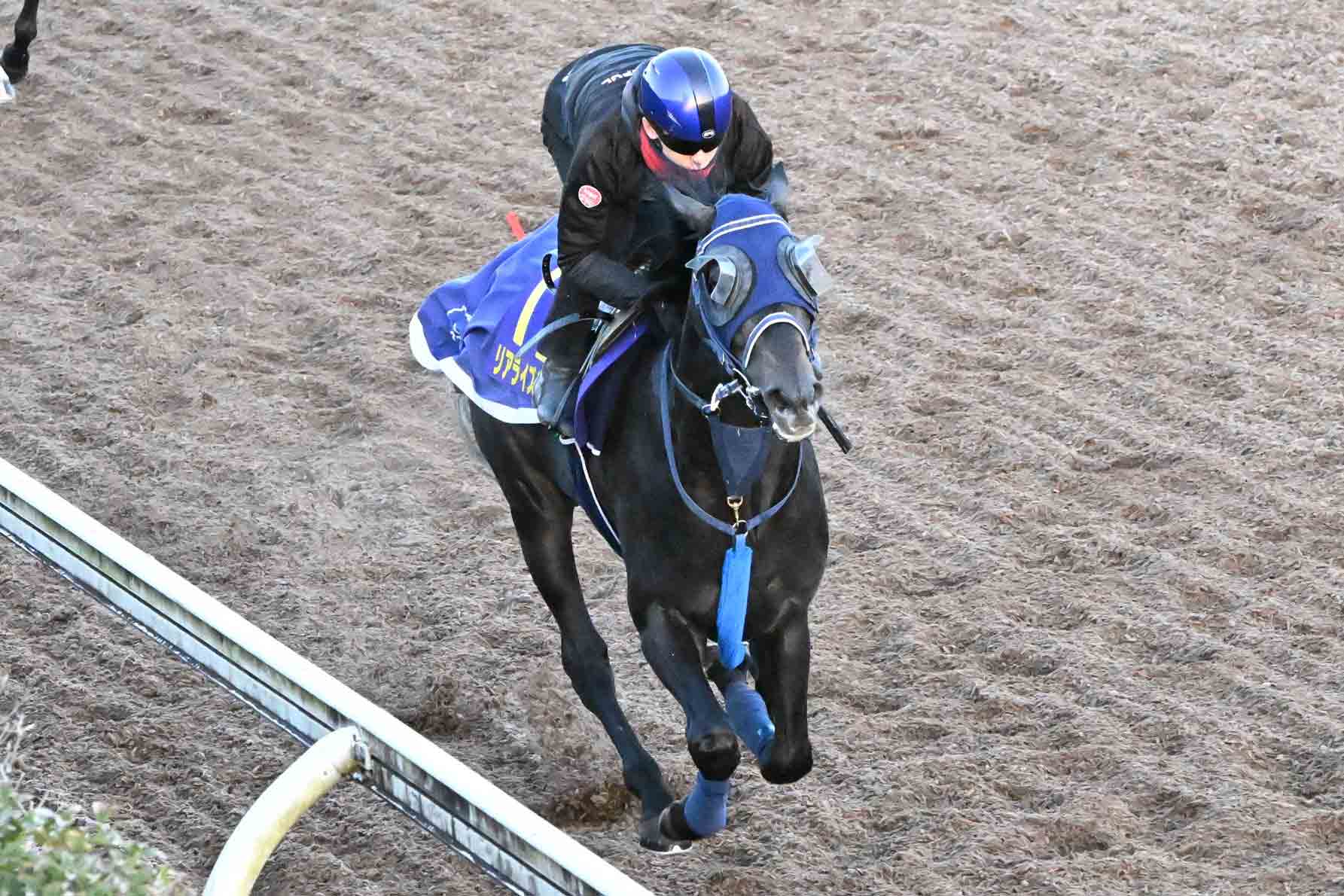 朝日杯FS追い切り】リアライズシリウスは津村明秀を背にラスト12・3秒