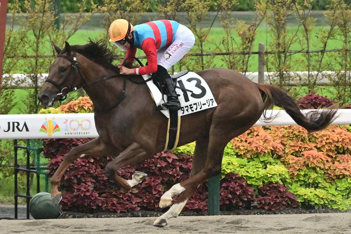 全日本2歳優駿】2戦2勝タマモフリージア「初コース」「左回り」への