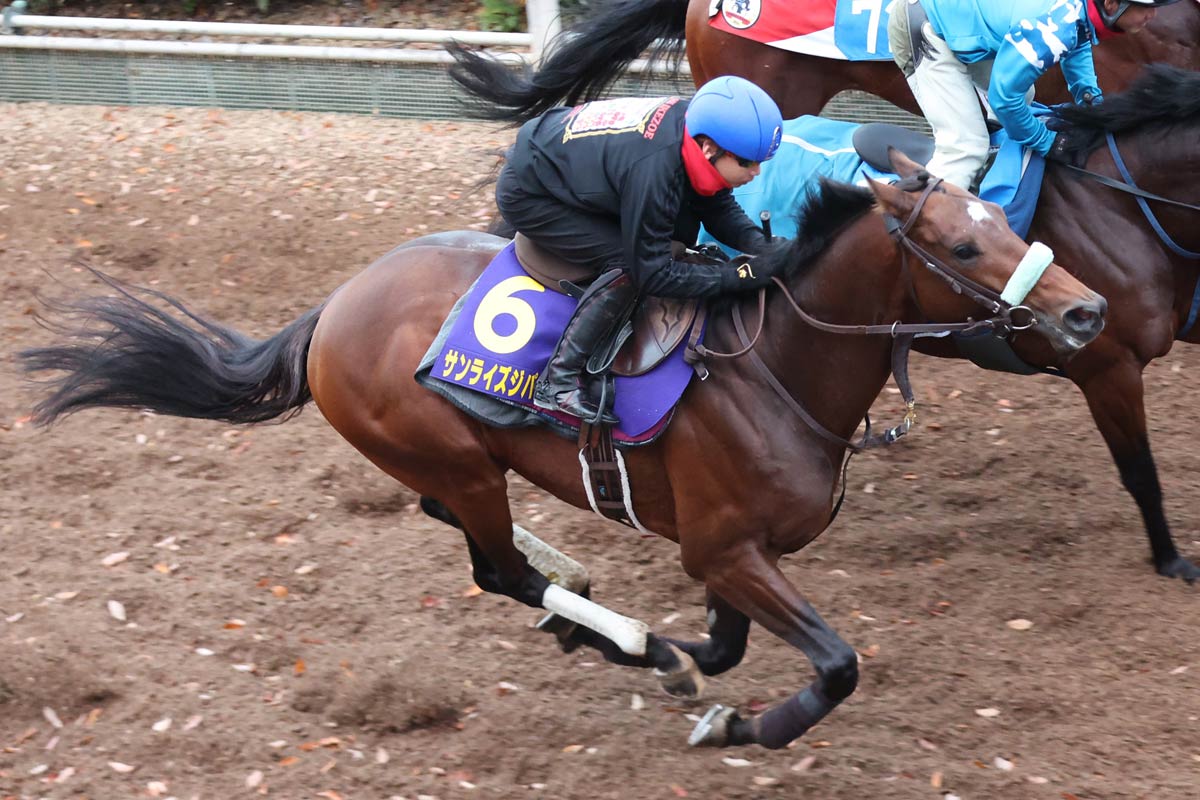 サンライズジパングが有馬記念参戦決定 東京大賞典は回避へ 鞍上は