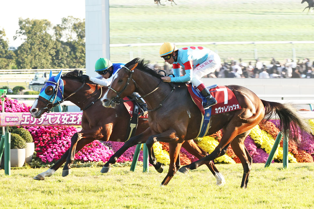 朝日杯FS・サイン馬券】〝朝日杯男〟を強力プッシュする女神とは…女性