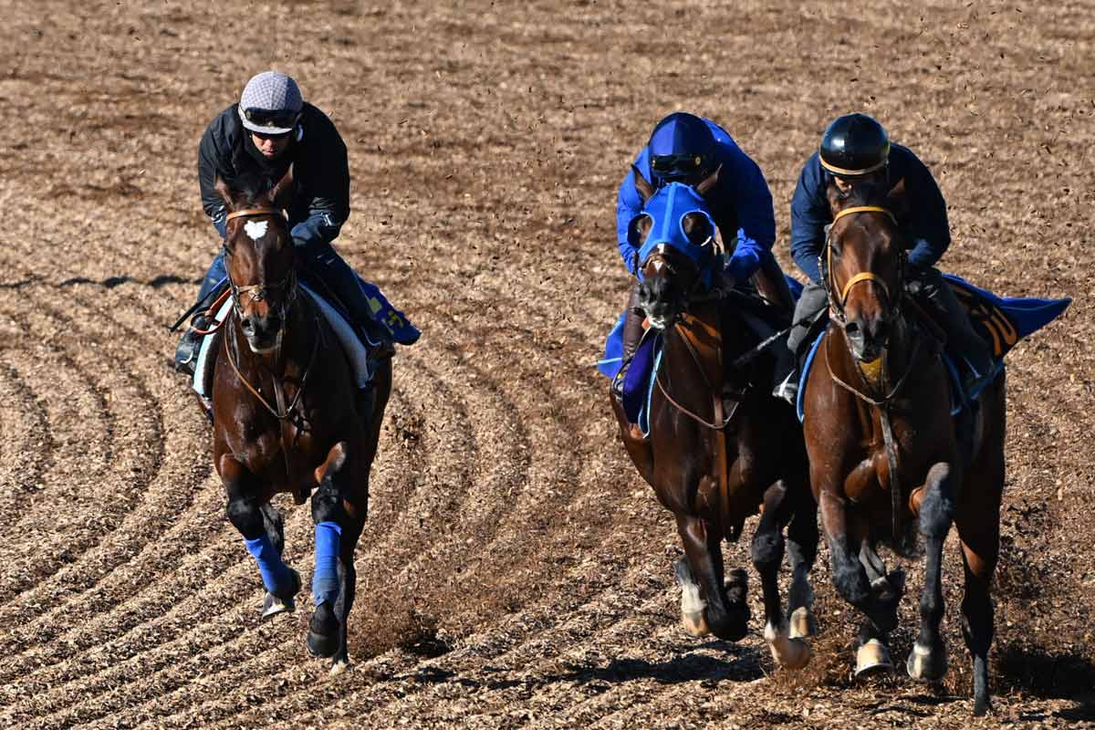 有馬記念1週前追い切り】タスティエーラは3頭併せを消化 堀宣行調教師