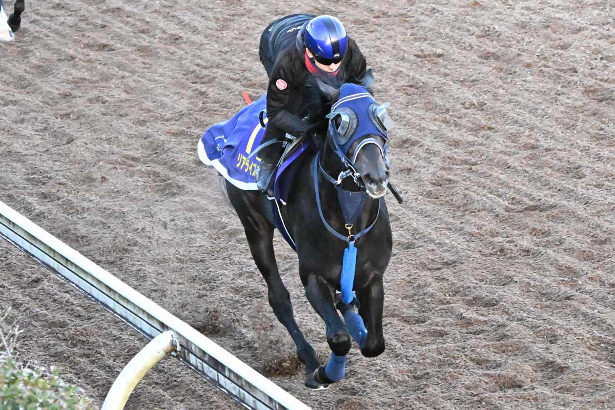 朝日杯FS】素質は？気性は？上位人気4頭の新馬戦ジョッキーコメントを