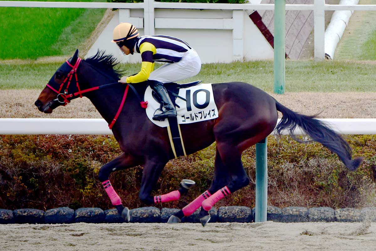馬券単勝 ポルトフィーノ 新馬戦 睦月S】伏兵レイベリング、1年3カ月ぶり勝利で単勝万馬券出た