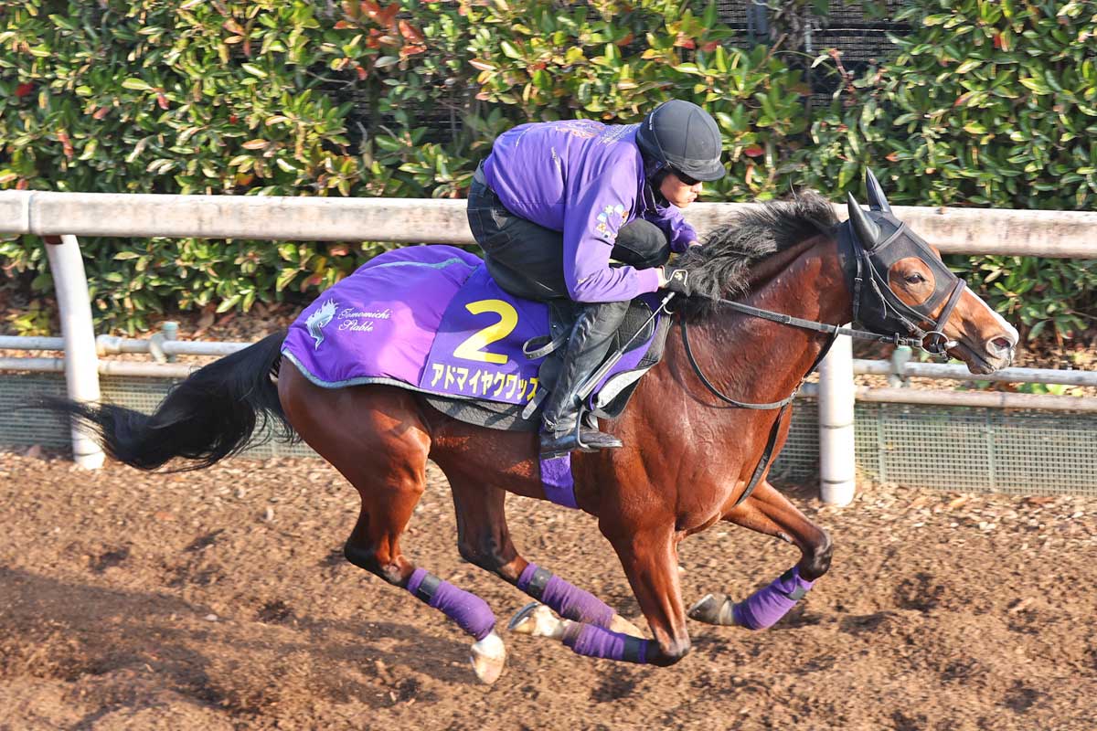 松浪コラム・アドマイヤクワッズ.jpg