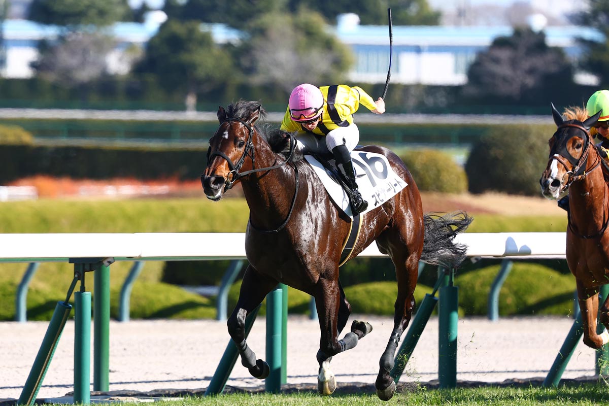 8番人気スピナーリートが逃げ切りフローレン・ジェルーはJRA初勝利【2