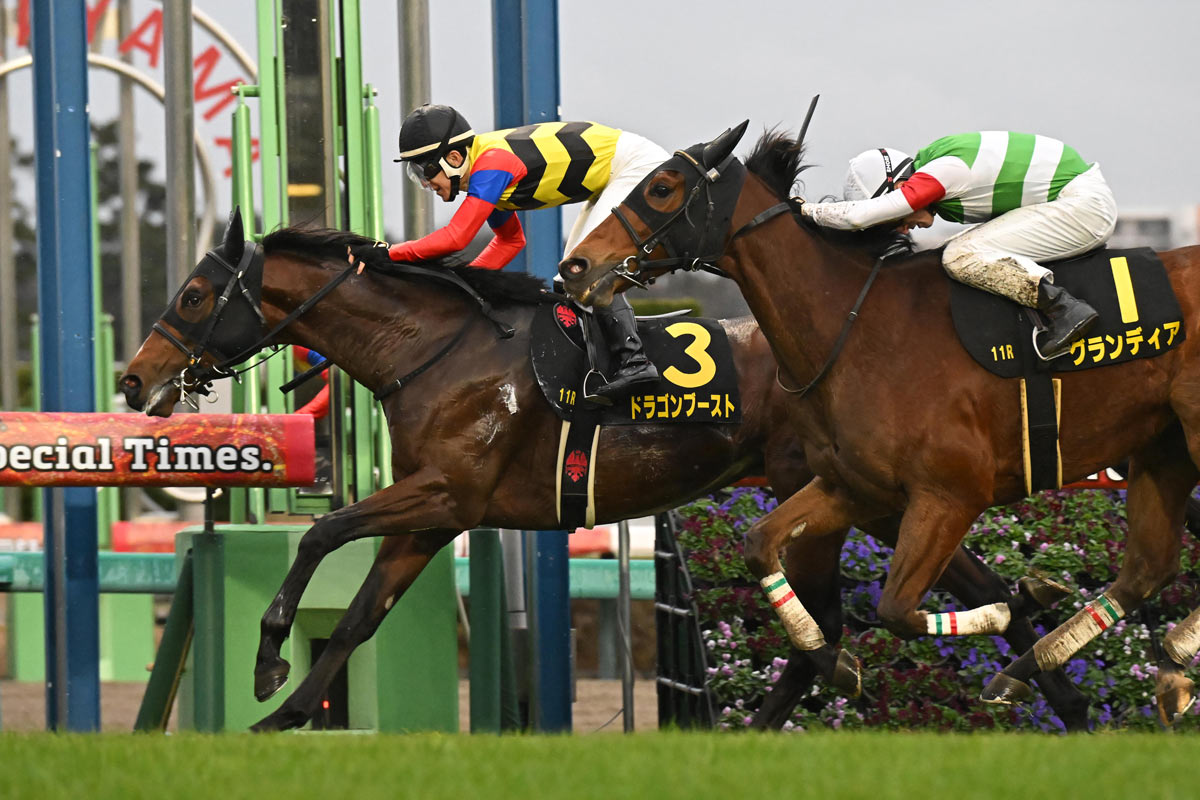 ディセンバーS】ダービー以来の3歳馬ドラゴンブーストが逃げ切る 丹内