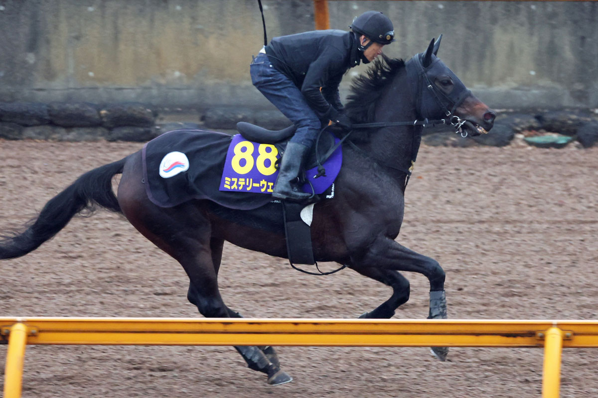 有馬記念・激推し】大逃げで連勝中のミステリーウェイ 〝ゴー〟か