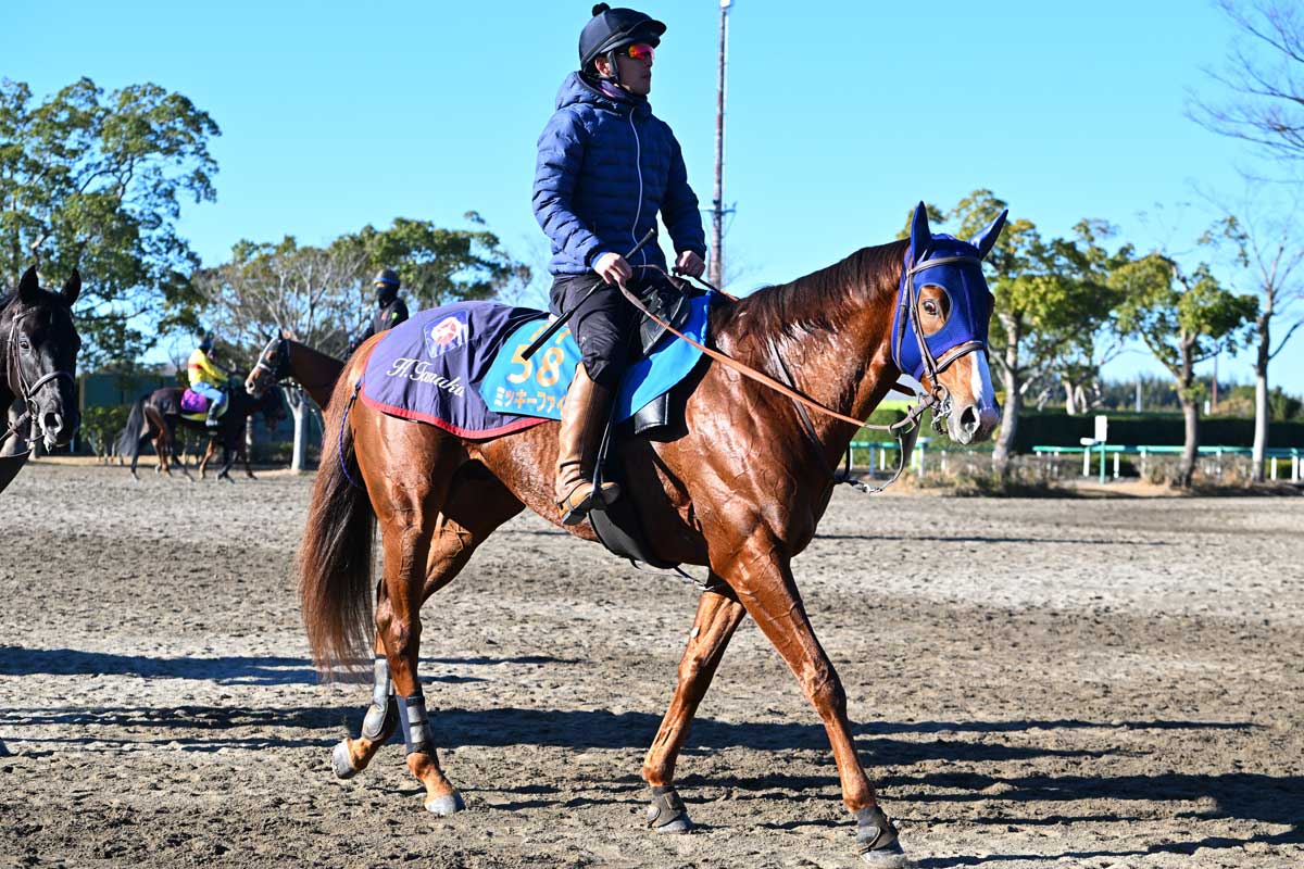 東京大賞典展望】3連勝中ミッキーファイトに3歳2騎が中心 〝凱旋レース