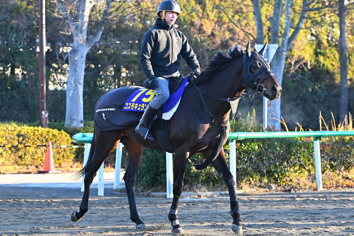 有馬記念】ノーザンファームは有馬記念8連覇達成！「届かないかと
