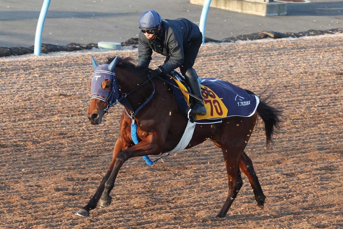 中山金杯予想 今の時季にピッタリ 重賞初Vへ舞台は整った！データ班 | 競馬ニュース・特集なら東スポ競馬