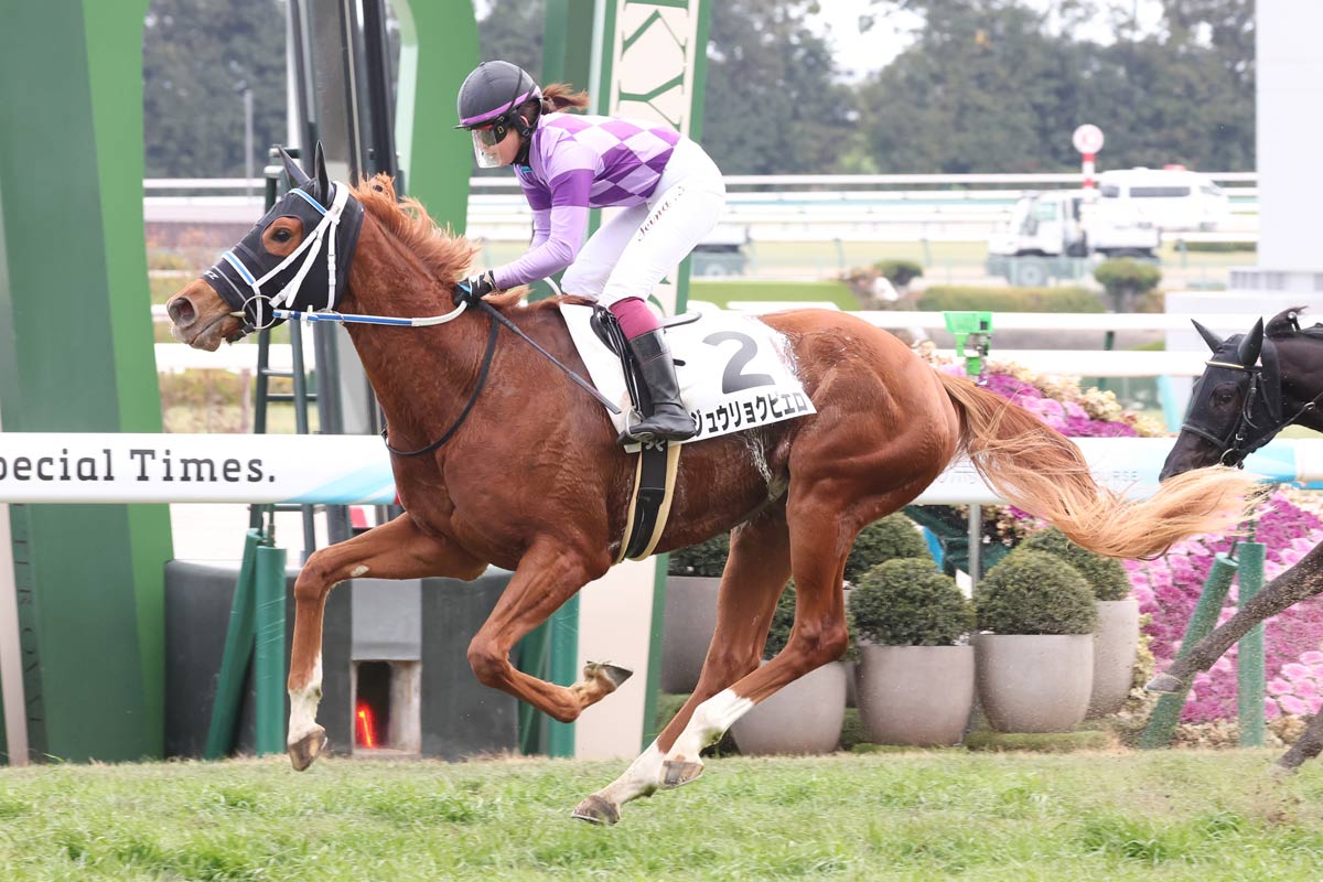 今村聖奈が今年初勝利 初芝の最低人気ジュウリョクピエロをVに導き「芝