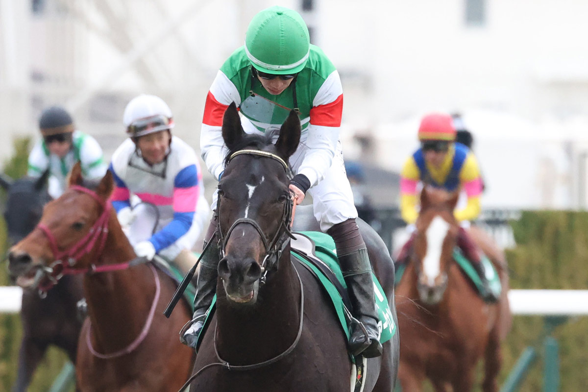 京都金杯】5番人気ファーヴェント〝満点の競馬〟で2着 年男・松山弘平