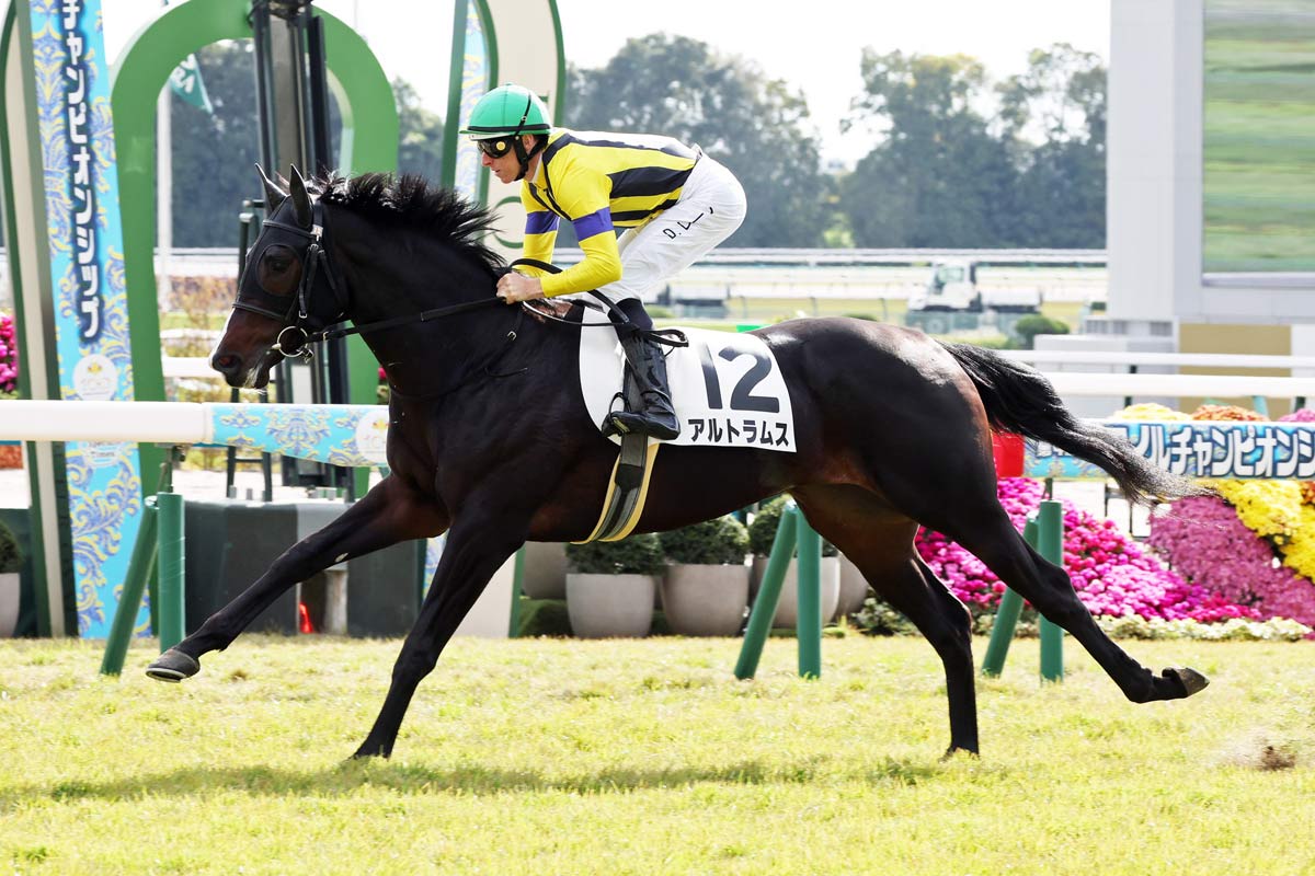 シンザン記念 | 結果・払戻 | 2026年1月12日 京都11R | レース結果