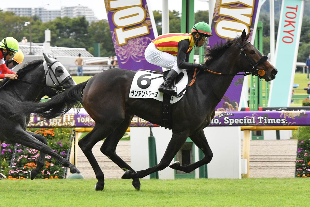 フェアリーS】活躍馬輩出で重要度高まる当レース 今年の主役はサン