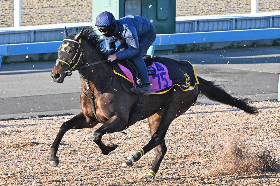 フェアリーS・記者の特注馬】調教法の変更がズバリ！ ピエドゥラパンが
