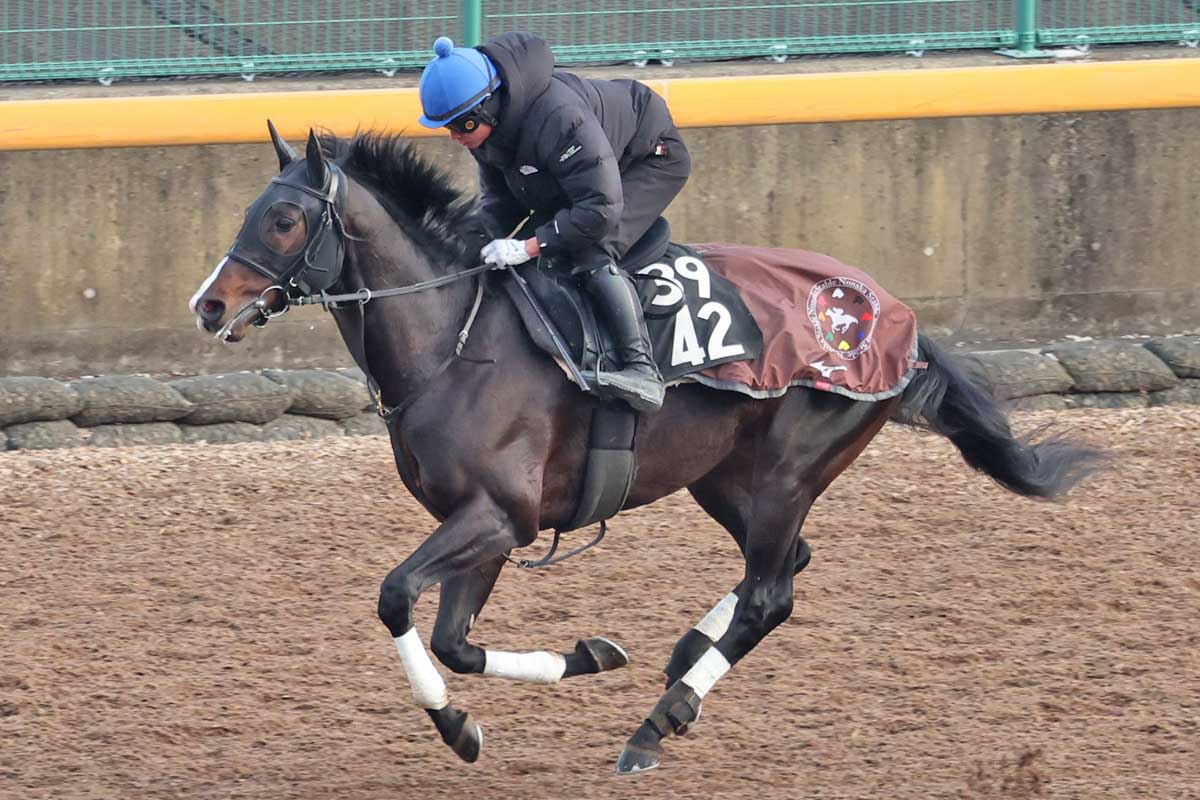 シンザン記念 | 結果・払戻 | 2026年1月12日 京都11R | レース結果