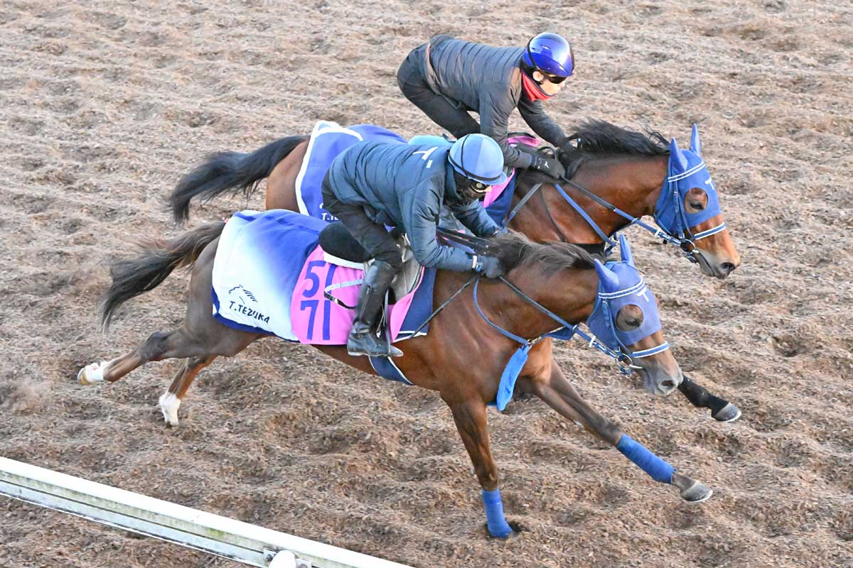 フェアリーS調教採点】美浦坂路で切れ味満点のフットワークを披露した