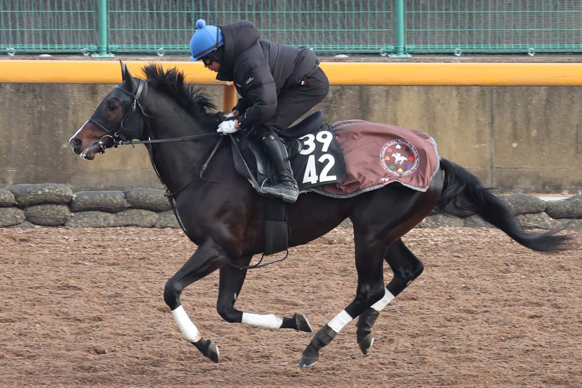 シンザン記念 | 結果・払戻 | 2026年1月12日 京都11R | レース結果