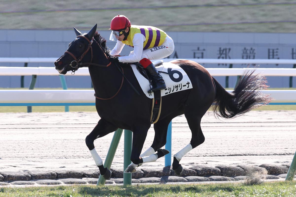 クイーンC15着ニシノサリーナは放牧で立て直しへ 「強い逃げ馬」に育て