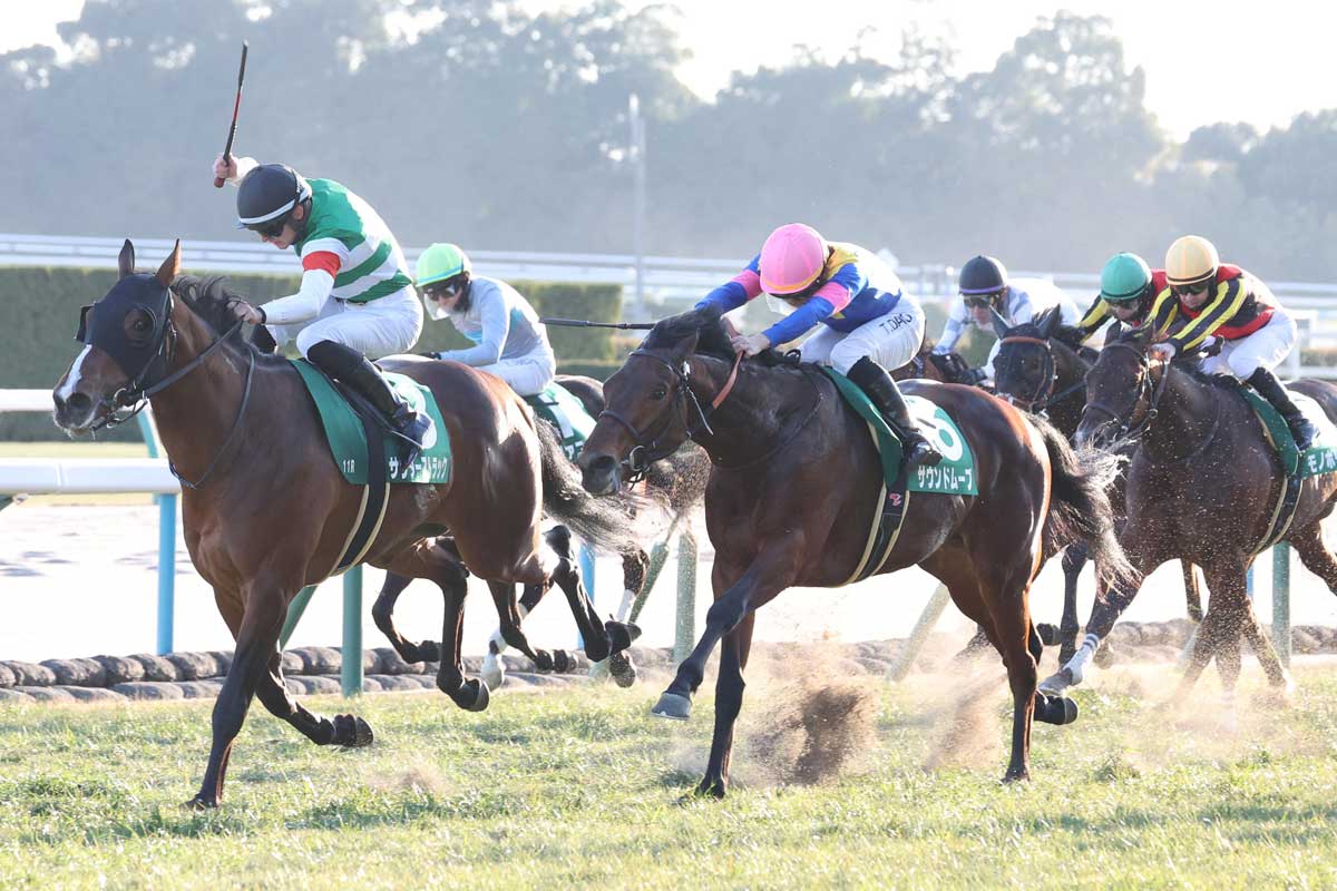 シンザン記念結果＆コメント】ハマーハンセンがサンダーストラックで