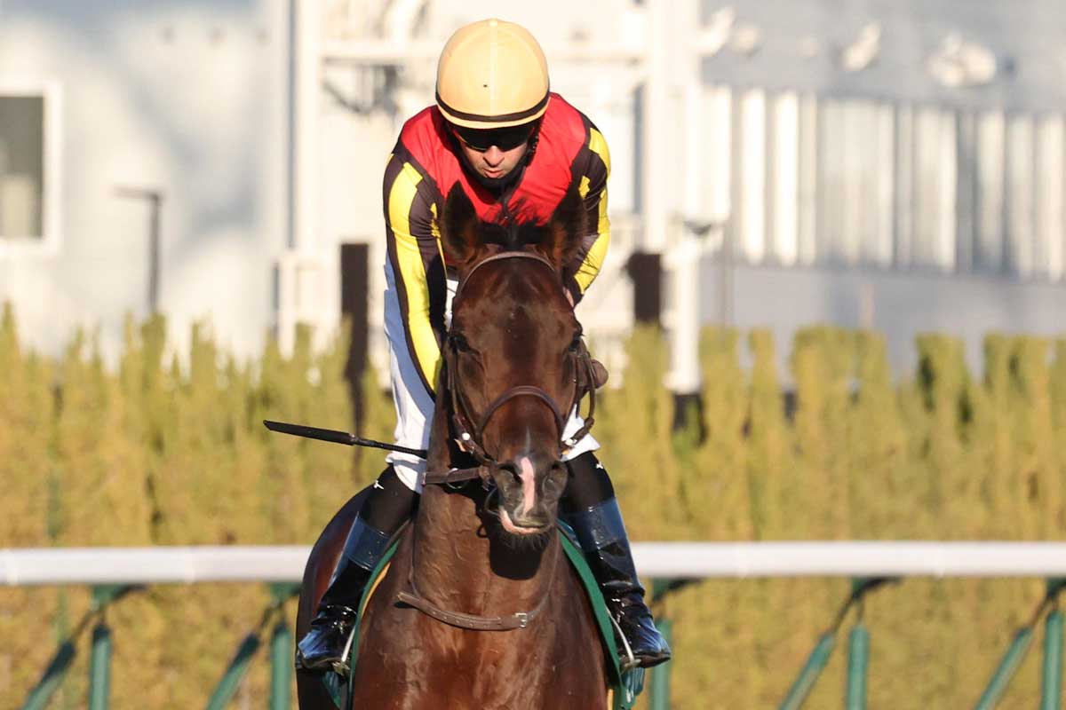 シンザン記念・1番人気なぜ負けた】モノポリオは5着 ルメールが指摘