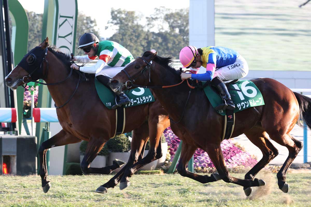 シンザン記念 | 結果・払戻 | 2026年1月12日 京都11R | レース結果