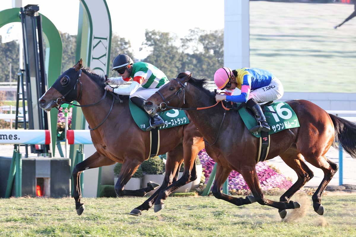 シンザン記念・競馬戦記.jpg
