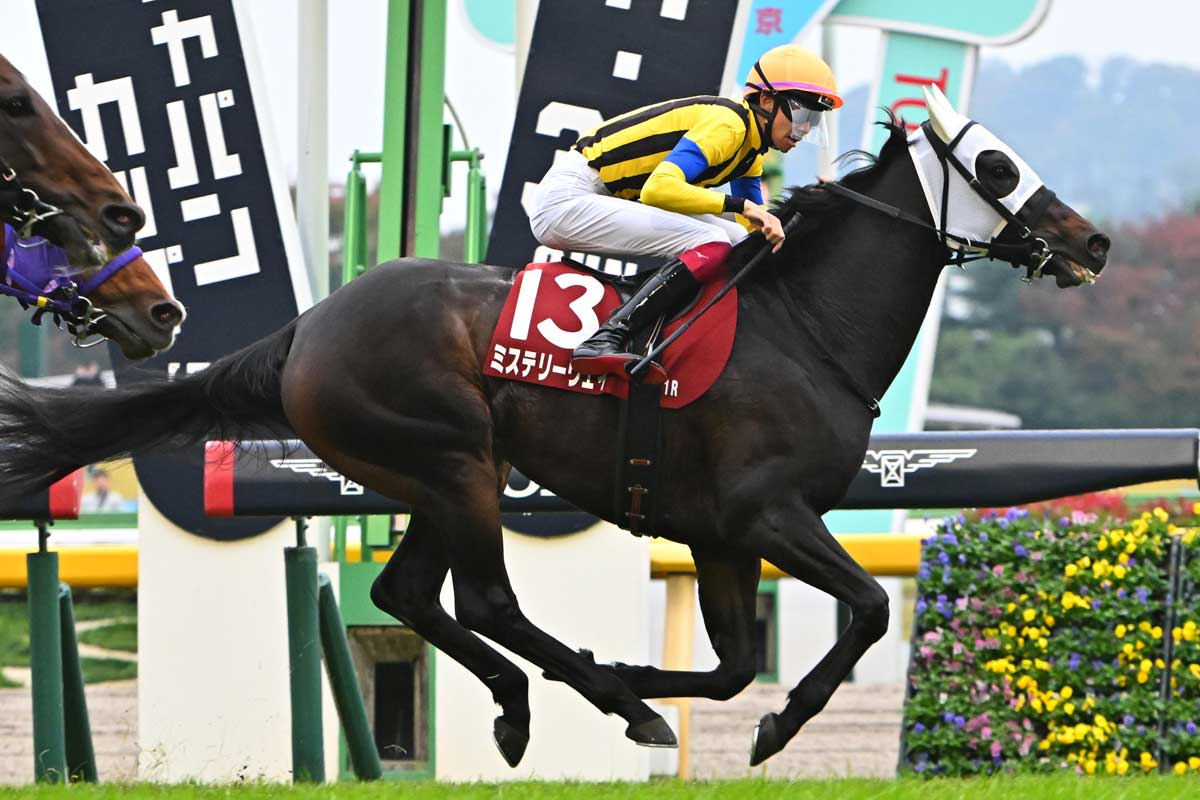有馬 有馬記念16着のミステリーウェイはドバイゴールドCに予備登録 | 競馬