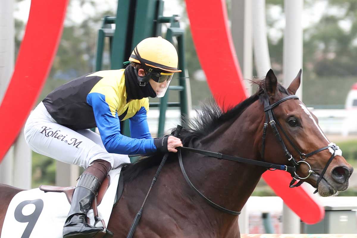 ダンスインザムード死す…25歳 2004年桜花賞などGⅠ・2勝 | 競馬