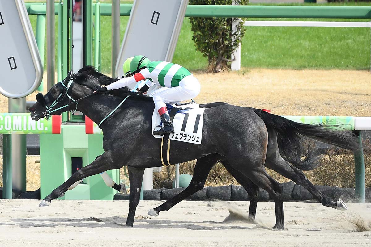 ダンスインザムード死す…25歳 2004年桜花賞などGⅠ・2勝 | 競馬