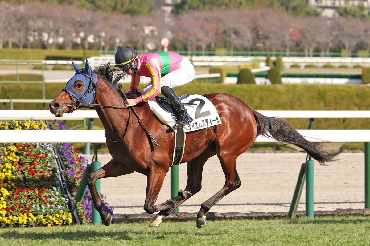 紅梅S3着テイエムスティールは桜花賞TRへ 京成杯2着マテンロウゲイルは